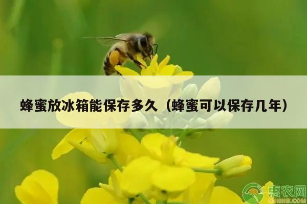 蜂蜜放冰箱能保存多久（蜂蜜可以保存几年）