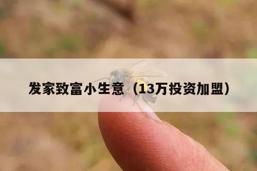 发家致富小生意（13万投资加盟）