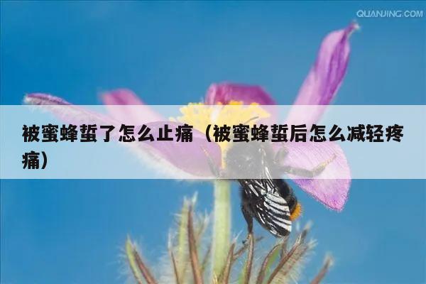 被蜜蜂蜇了怎么止痛（被蜜蜂蜇后怎么减轻疼痛）