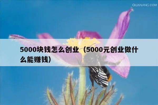 5000块钱怎么创业（5000元创业做什么能赚钱）