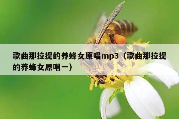 歌曲那拉提的养蜂女原唱mp3（歌曲那拉提的养蜂女原唱一）