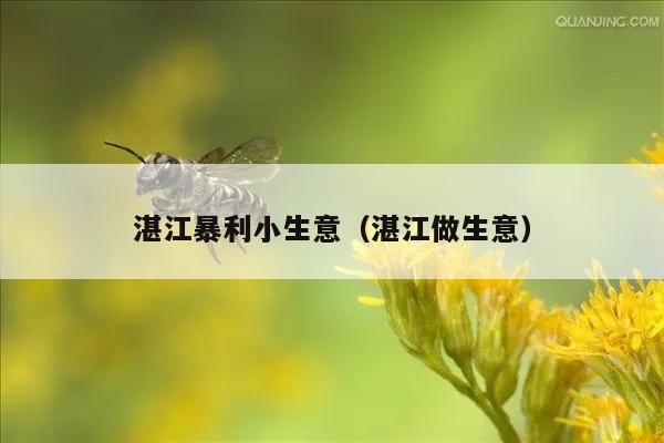 湛江暴利小生意（湛江做生意）