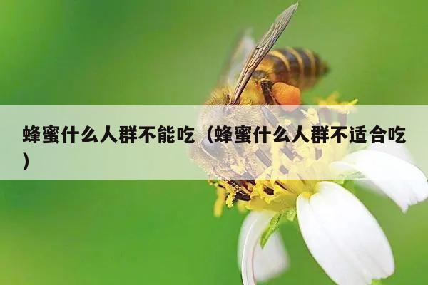 蜂蜜什么人群不能吃（蜂蜜什么人群不适合吃）