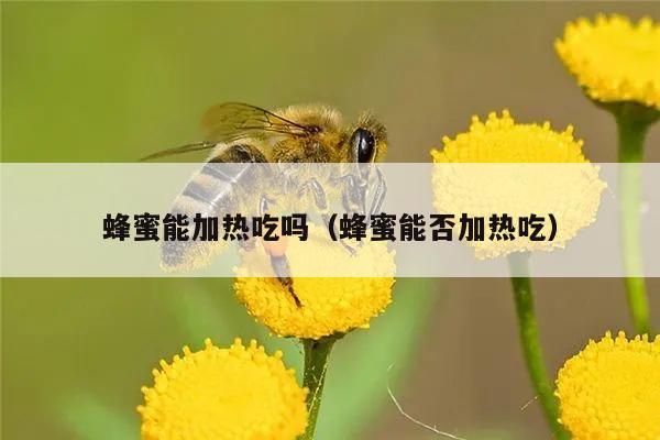 蜂蜜能加热吃吗（蜂蜜能否加热吃）