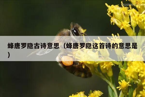 蜂唐罗隐古诗意思（蜂唐罗隐这首诗的意思是）