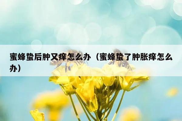 蜜蜂蛰后肿又痒怎么办（蜜蜂蛰了肿胀痒怎么办）