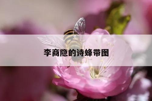 李商隐的诗蜂带图