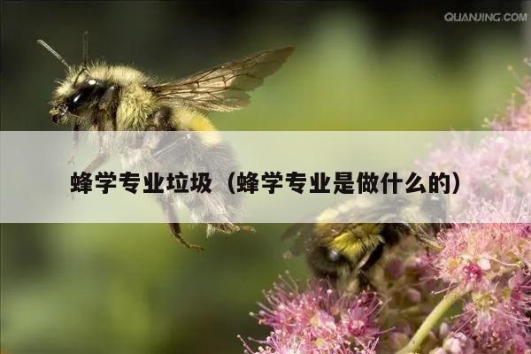 蜂学专业垃圾（蜂学专业是做什么的）