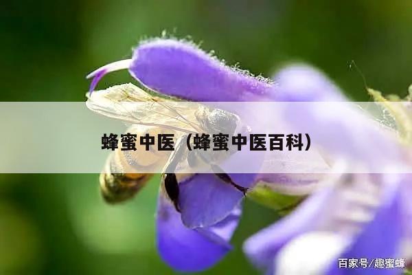 蜂蜜中医（蜂蜜中医百科）