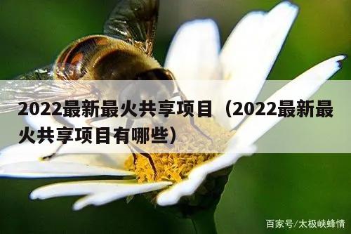 2022最新最火共享项目（2022最新最火共享项目有哪些）