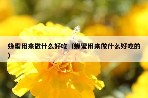 蜂蜜用来做什么好吃（蜂蜜用来做什么好吃的）