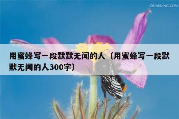 用蜜蜂写一段默默无闻的人（用蜜蜂写一段默默无闻的人300字）