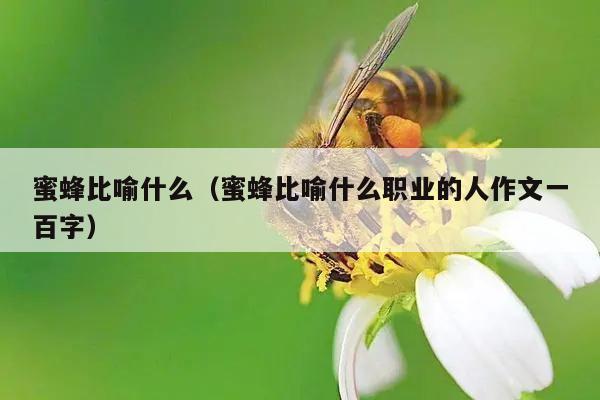 蜜蜂比喻什么（蜜蜂比喻什么职业的人作文一百字）