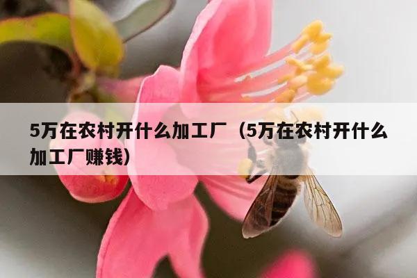 5万在农村开什么加工厂（5万在农村开什么加工厂赚钱）