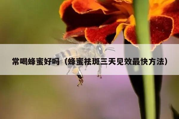 常喝蜂蜜好吗（蜂蜜祛斑三天见效最快方法）