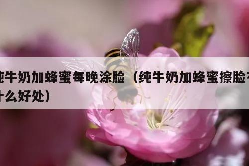 纯牛奶加蜂蜜每晚涂脸（纯牛奶加蜂蜜擦脸有什么好处）