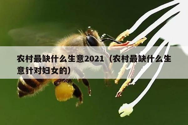 农村最缺什么生意2021（农村最缺什么生意针对妇女的）