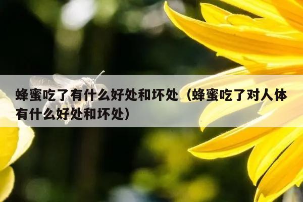 蜂蜜吃了有什么好处和坏处（蜂蜜吃了对人体有什么好处和坏处）