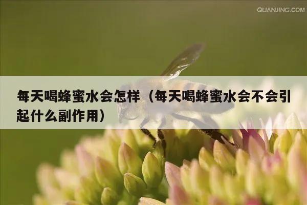 每天喝蜂蜜水会怎样（每天喝蜂蜜水会不会引起什么副作用）