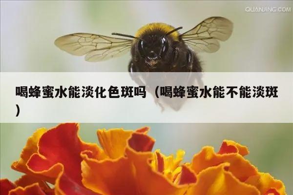 喝蜂蜜水能淡化色斑吗（喝蜂蜜水能不能淡斑）