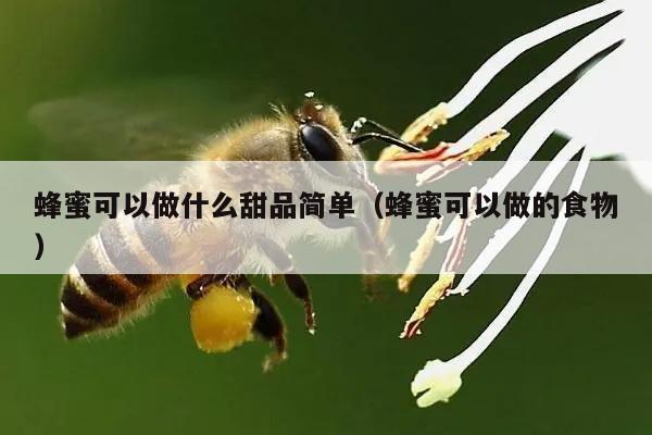 蜂蜜可以做什么甜品简单（蜂蜜可以做的食物）