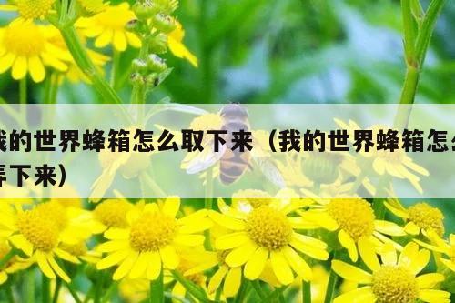 我的世界蜂箱怎么取下来（我的世界蜂箱怎么弄下来）