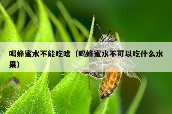 喝蜂蜜水不能吃啥（喝蜂蜜水不可以吃什么水果）