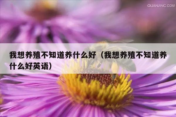 我想养殖不知道养什么好（我想养殖不知道养什么好英语）