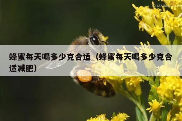 蜂蜜每天喝多少克合适（蜂蜜每天喝多少克合适减肥）