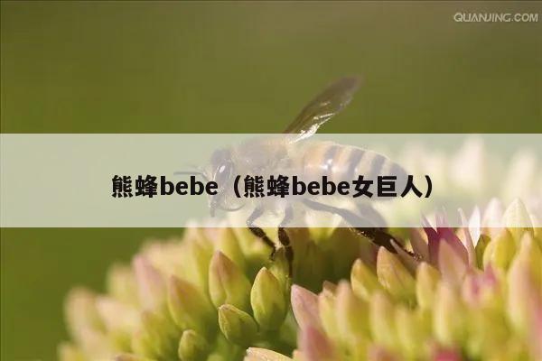 熊蜂bebe（熊蜂bebe女巨人）