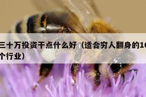 三十万投资干点什么好（适合穷人翻身的10个行业）