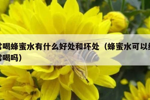 常喝蜂蜜水有什么好处和坏处（蜂蜜水可以经常喝吗）