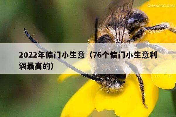 2022年偏门小生意（76个偏门小生意利润最高的）