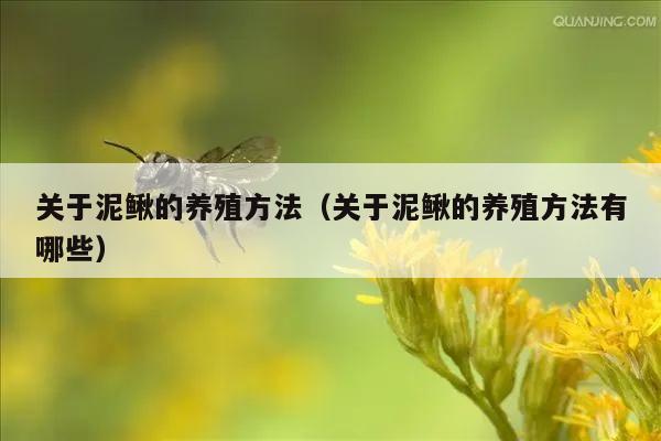 关于泥鳅的养殖方法（关于泥鳅的养殖方法有哪些）