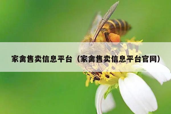 家禽售卖信息平台（家禽售卖信息平台官网）