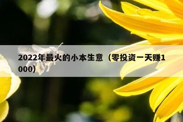 2022年最火的小本生意（零投资一天赚1000）