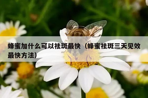 蜂蜜加什么可以祛斑最快（蜂蜜祛斑三天见效最快方法）