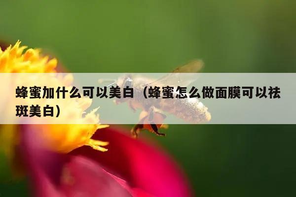 蜂蜜加什么可以美白（蜂蜜怎么做面膜可以祛斑美白）