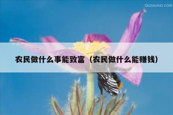 农民做什么事能致富（农民做什么能赚钱）