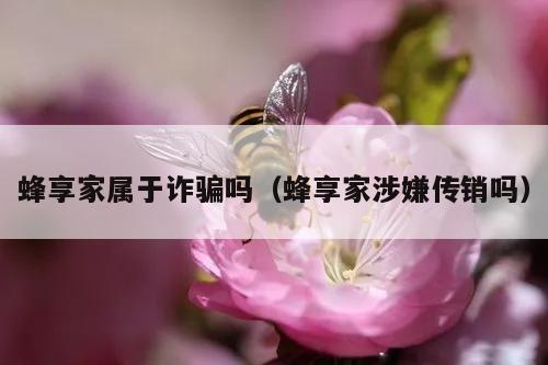 蜂享家属于诈骗吗（蜂享家涉嫌传销吗）