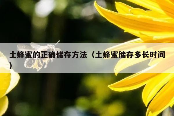 土蜂蜜的正确储存方法（土蜂蜜储存多长时间）