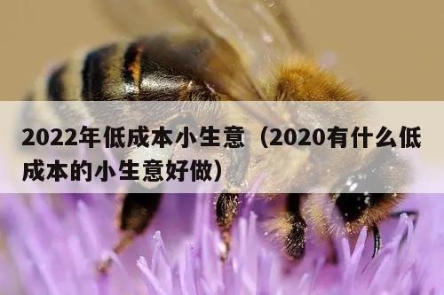 2022年低成本小生意（2020有什么低成本的小生意好做）