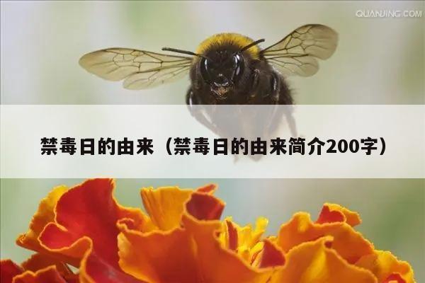 禁毒日的由来（禁毒日的由来简介200字）