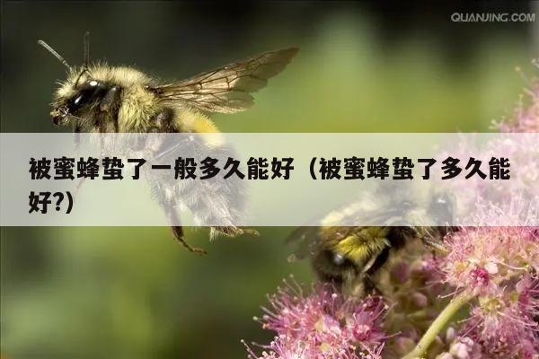 被蜜蜂蛰了一般多久能好（被蜜蜂蛰了多久能好?）