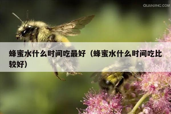 蜂蜜水什么时间吃最好（蜂蜜水什么时间吃比较好）