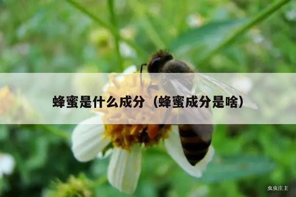 蜂蜜是什么成分（蜂蜜成分是啥）