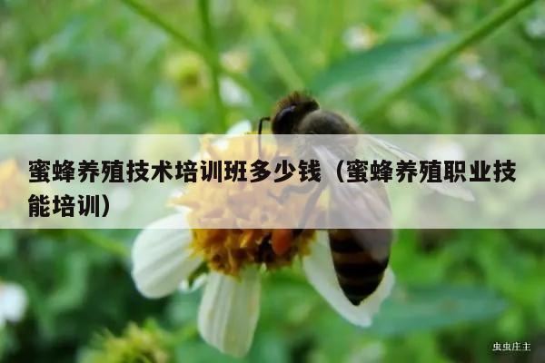 蜜蜂养殖技术培训班多少钱（蜜蜂养殖职业技能培训）