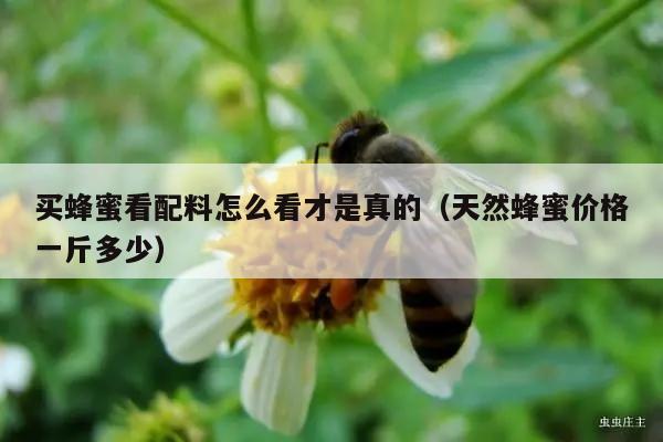 买蜂蜜看配料怎么看才是真的（天然蜂蜜价格一斤多少）