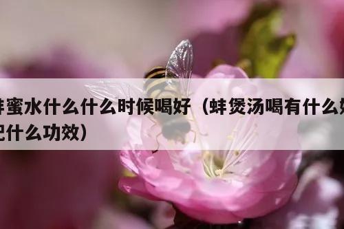 蚌蜜水什么什么时候喝好（蚌煲汤喝有什么好配什么功效）