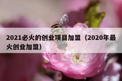 2021必火的创业项目加盟（2020年最火创业加盟）